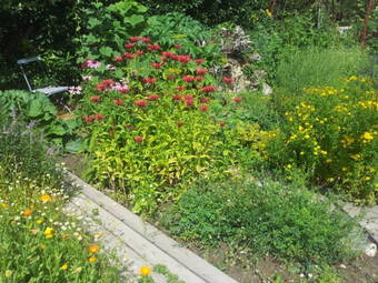 Agroturismo Haus Im Erlengrund