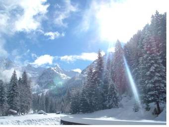 Hotel Albergo Pineta