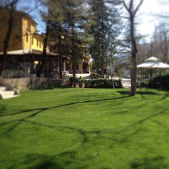 Hotel Ristorante Pineta