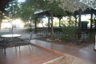 Olive Tree Cabins