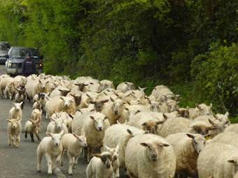 Silvermines Self Catering Accommodation