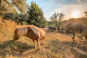 Apartamento Agriturismo Degli Alpaca