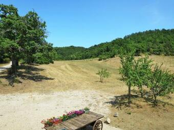 Apartamentos Locazione Turistica Podere Pian Dei Carpini - Pat161