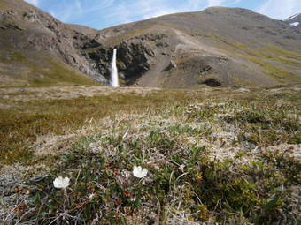 Stora Sandfell Rooms And Cottages