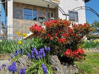 Hostal Villa Fiorita