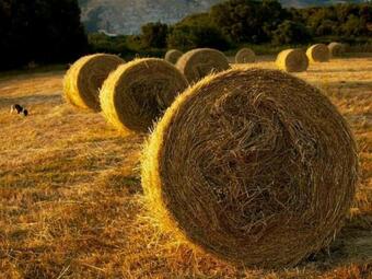 Holidays In Maremma Toscana, Oasis Of Tranquility In The Heart Of The Countrysid