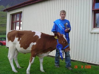 Agroturismo �s�lfssk�li Cottage