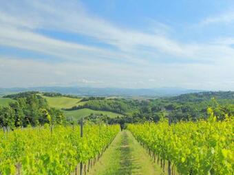 Plush Villa Apartment In Tavullia With Jacuzzi