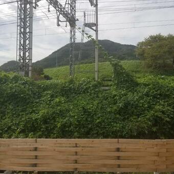 Kafuu Guesthouse+cafe