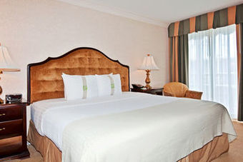 Hotel Holiday Inn Laguna Beach