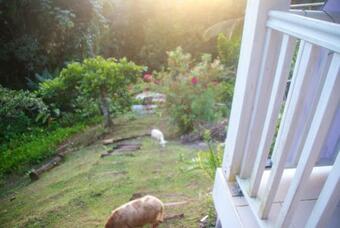 Apartamento Studio In Fort De France With Wonderful Sea View Furnished Terrace And Wifi 8 Km From The Beach