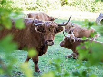 Holiday Home Marina Beach-11