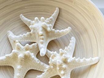 Luxuriously Restored Farmhouse With Trendy Interior Close To Sea And Forest