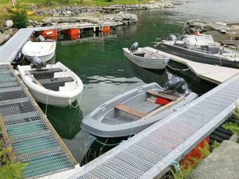 Holiday Home Idun - Fjs131