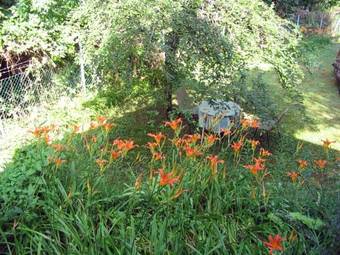 Le�nyvir�g Vend�gh�z