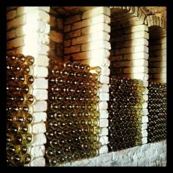 Villa Pasztovszki Bork�ria