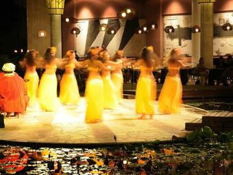 Hostal Pension Te Miti