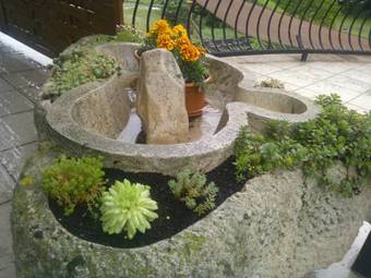 Hostal Nautilus �tterem �s Panzi�