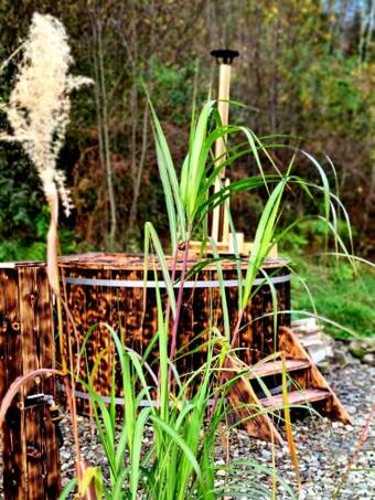 Villa Buk�wka Luksusowa Bac�wka