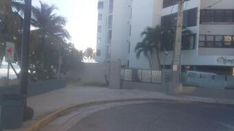 Centre City Big Tree Retreat