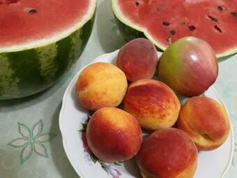 Hotel ???? ????? ???????