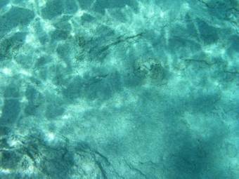 Apartamento Villa Amalia