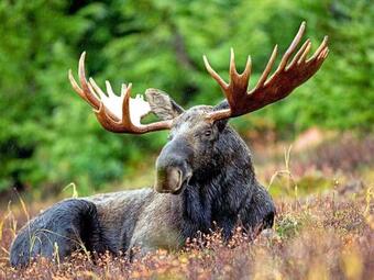 Holiday Home S�len X