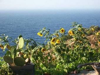 Apartamento Nirydes Studios