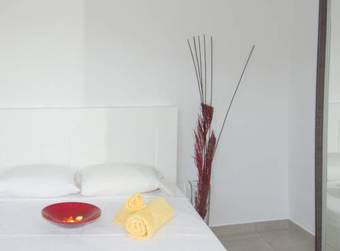 Plum Tree - Morfi Village