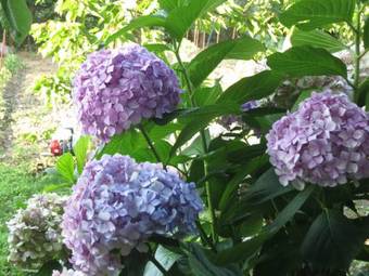 Apartamento Panagiotis Apostoloudias Rooms