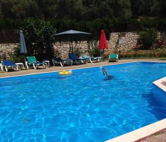 Apartamento Dendrolivano