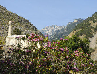 Apartamento Artemis Studios