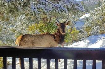 Rugged Rim Country Cabin With Luxury Interior!