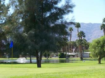 Roadrunner Club 321 Home