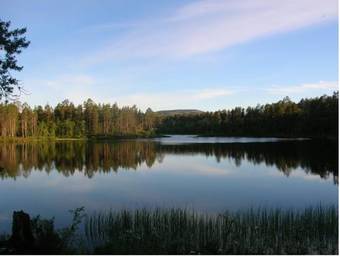 Lemmenjoki Camping & Cabins