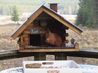 Chalet La Cabane Les Hautes