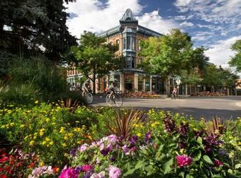 Ver fotos