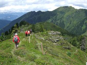 Hotel Gasthof Zur Gams