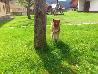 Agroturismo Hotel Garni Ransburgerhof