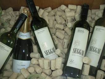 Hotel Schloss Seggau