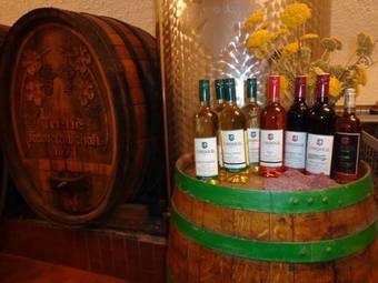 Hostal Haus Martin - Schneeberger