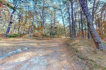 Wellfleet Woods