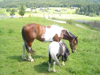 Hostal Haus Christophorus