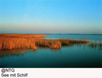 Hotel Burgenl�nderhof