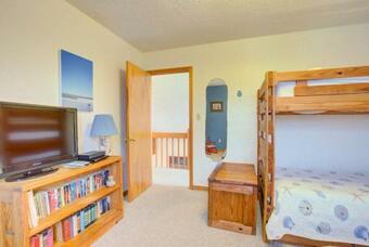 8065 - The Surfing Kitty