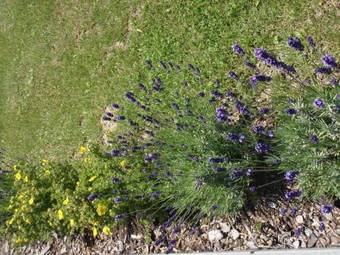 Hostal Pension Lammerhof