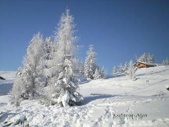 Apartamento Haus Loferer
