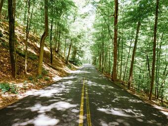 Tentrr - Rainbow Camp Sky High