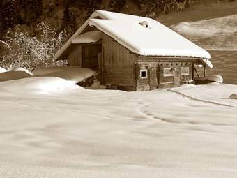 Apartamento Appartements Alpenrose