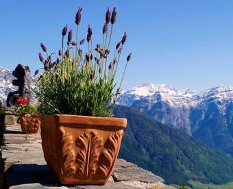 Posada Berggasthof Biberg